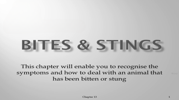 vlcsnap-2025-10-27-15h00m15s272_cleanup.png__PID:4504a1fa-777d-438a-ba67-ea7f4cf53411